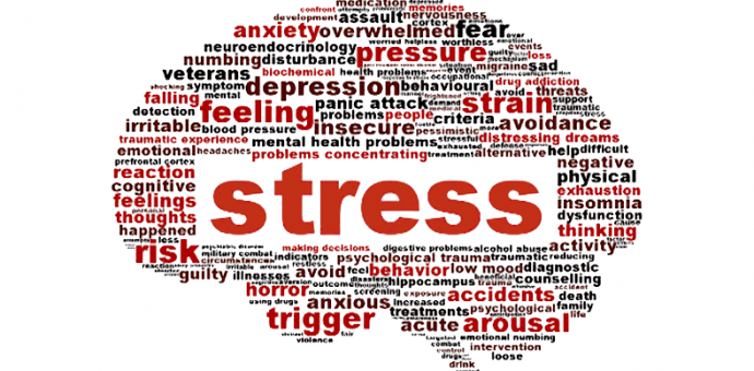 10 Lois Anti-Stress :